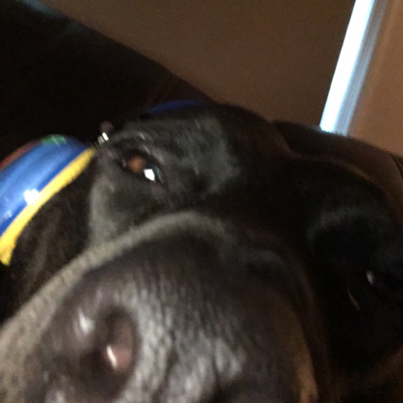 kevinolive32
